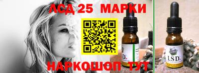бошки Гатчина