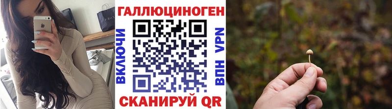 даркнет сайт  Касимов  Псилоцибиновые грибы Psilocybine cubensis 