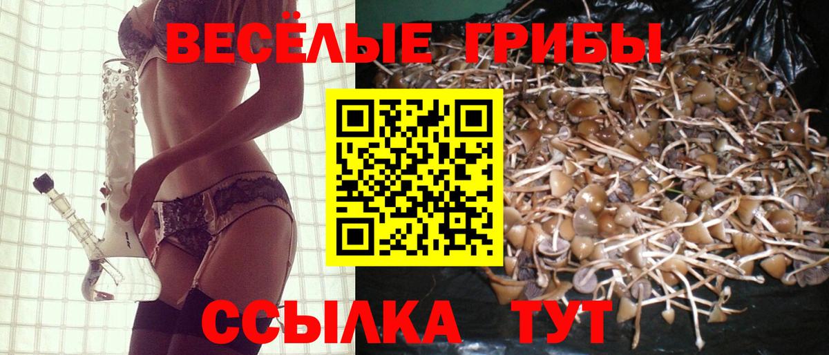 Галлюциногенные грибы мицелий Касимов