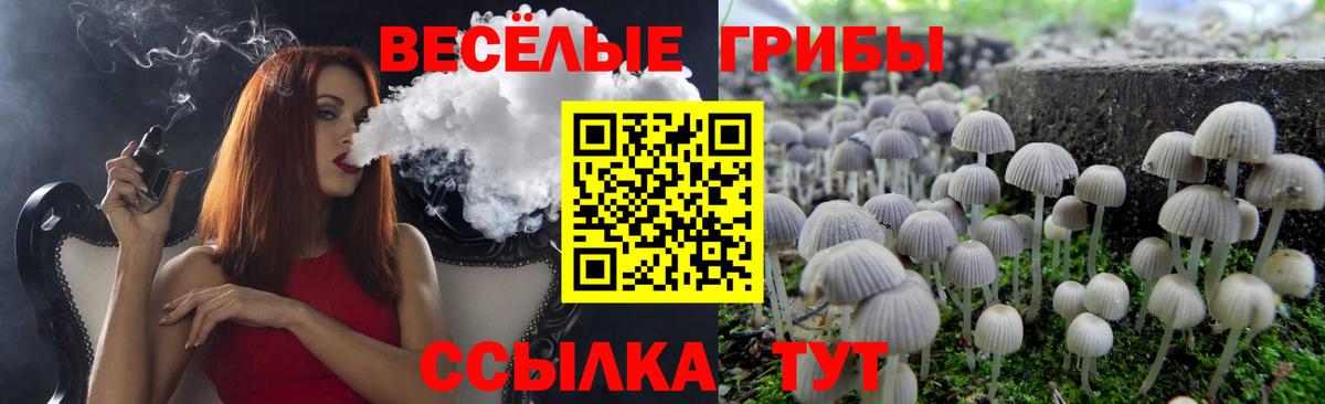 Касимов  Галлюциногенные грибы Psilocybe  Псилоцибиновые грибы мицелий  Вход с VPN 